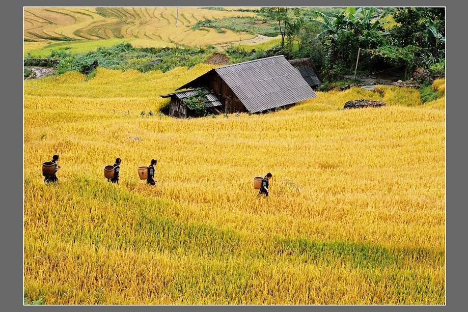 Hometravel Sapa Exterior foto